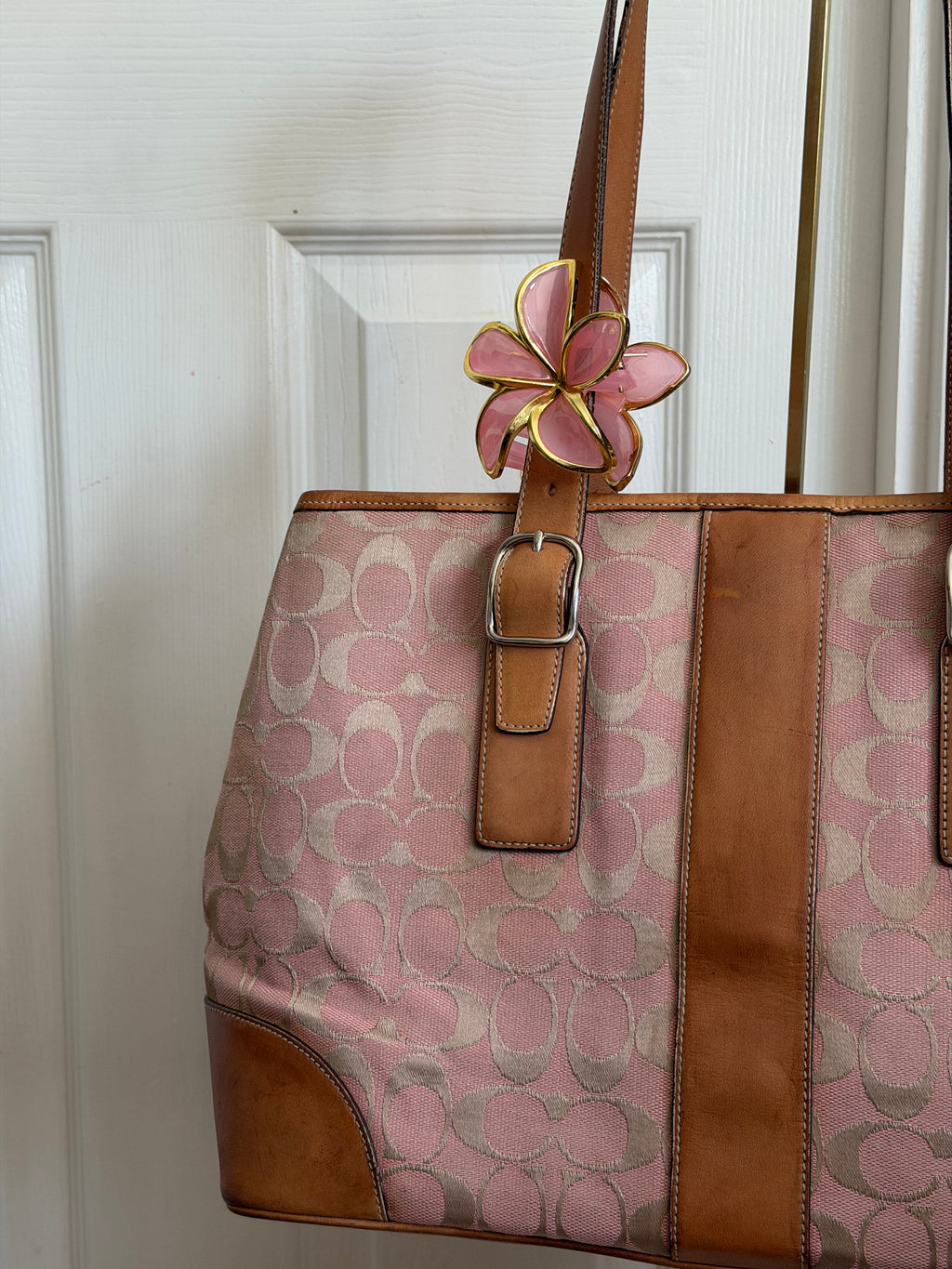 Coach signature canvas tote bag