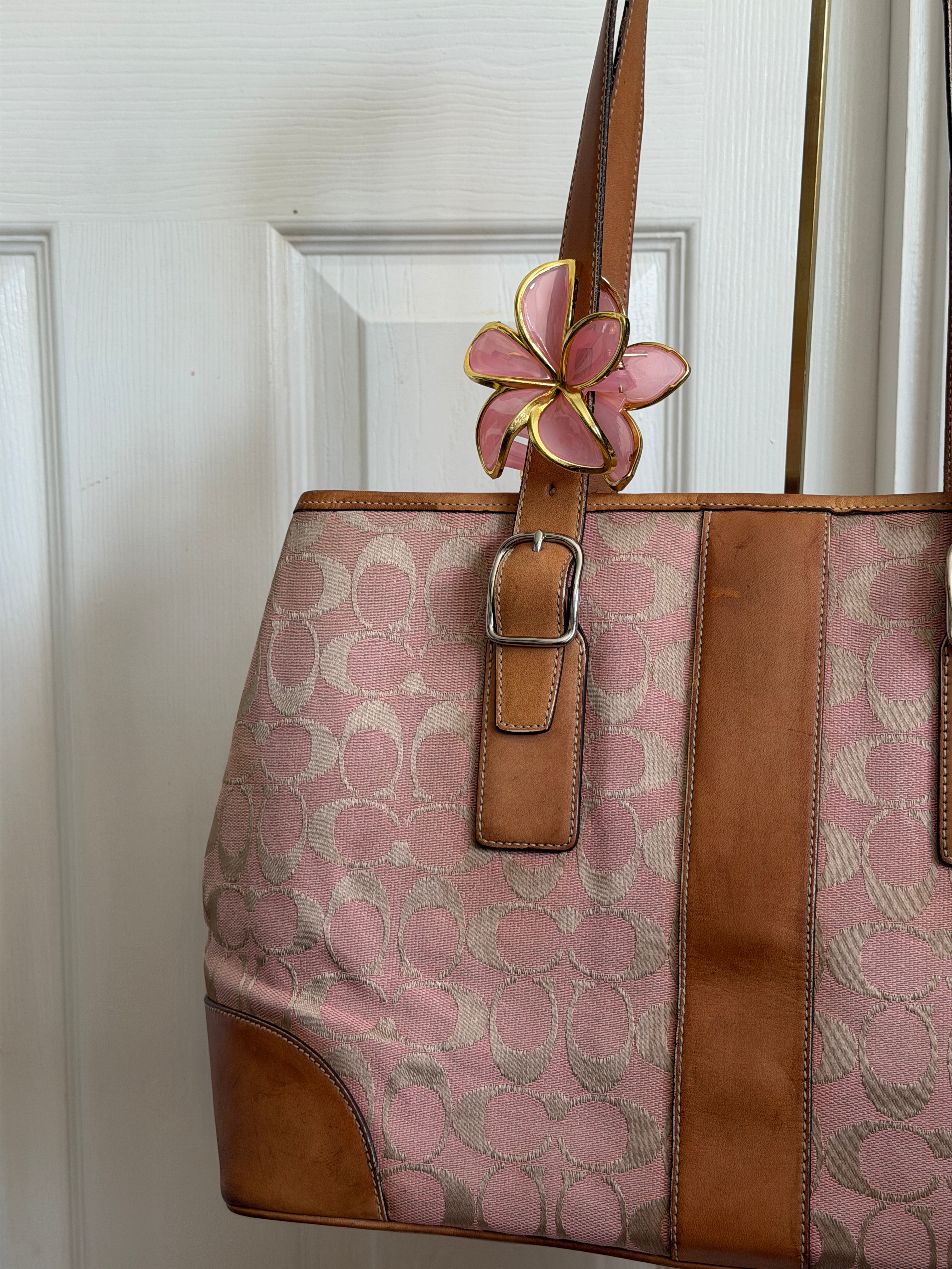 Coach signature canvas tote bag
