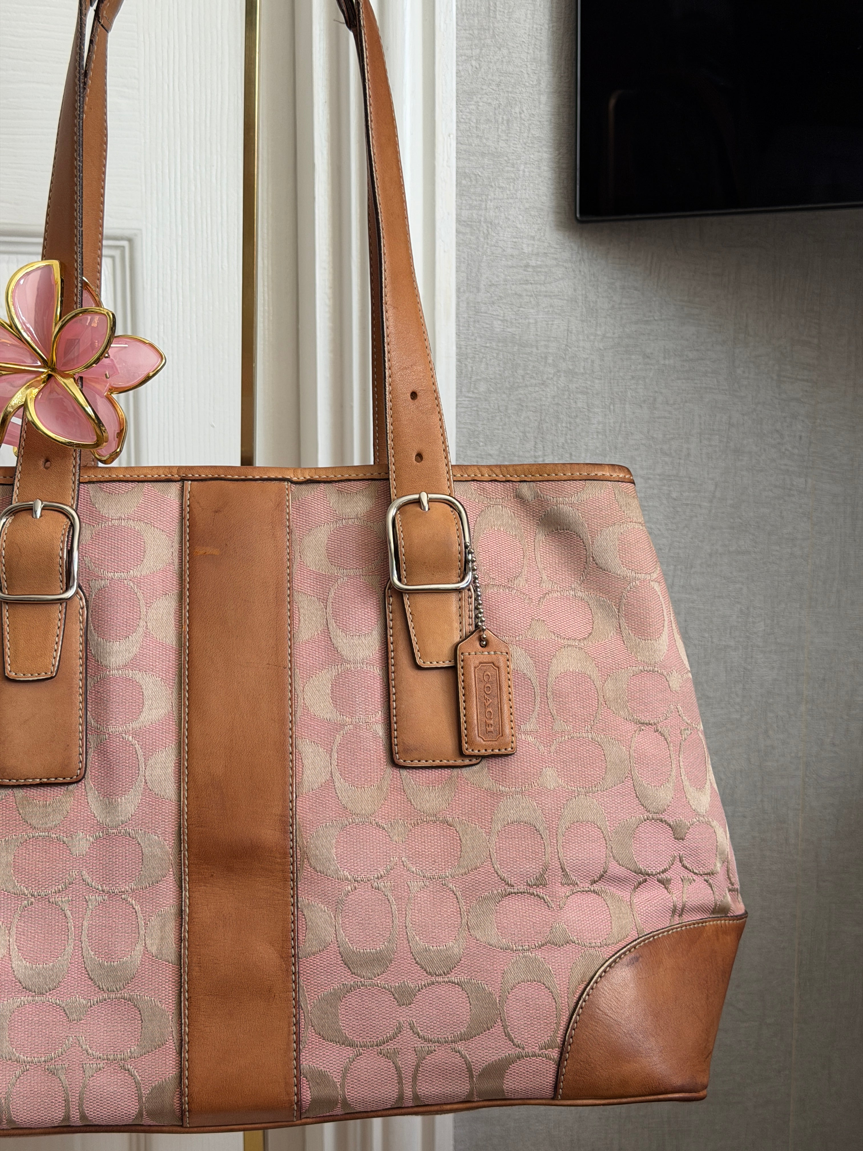 Coach signature canvas tote bag