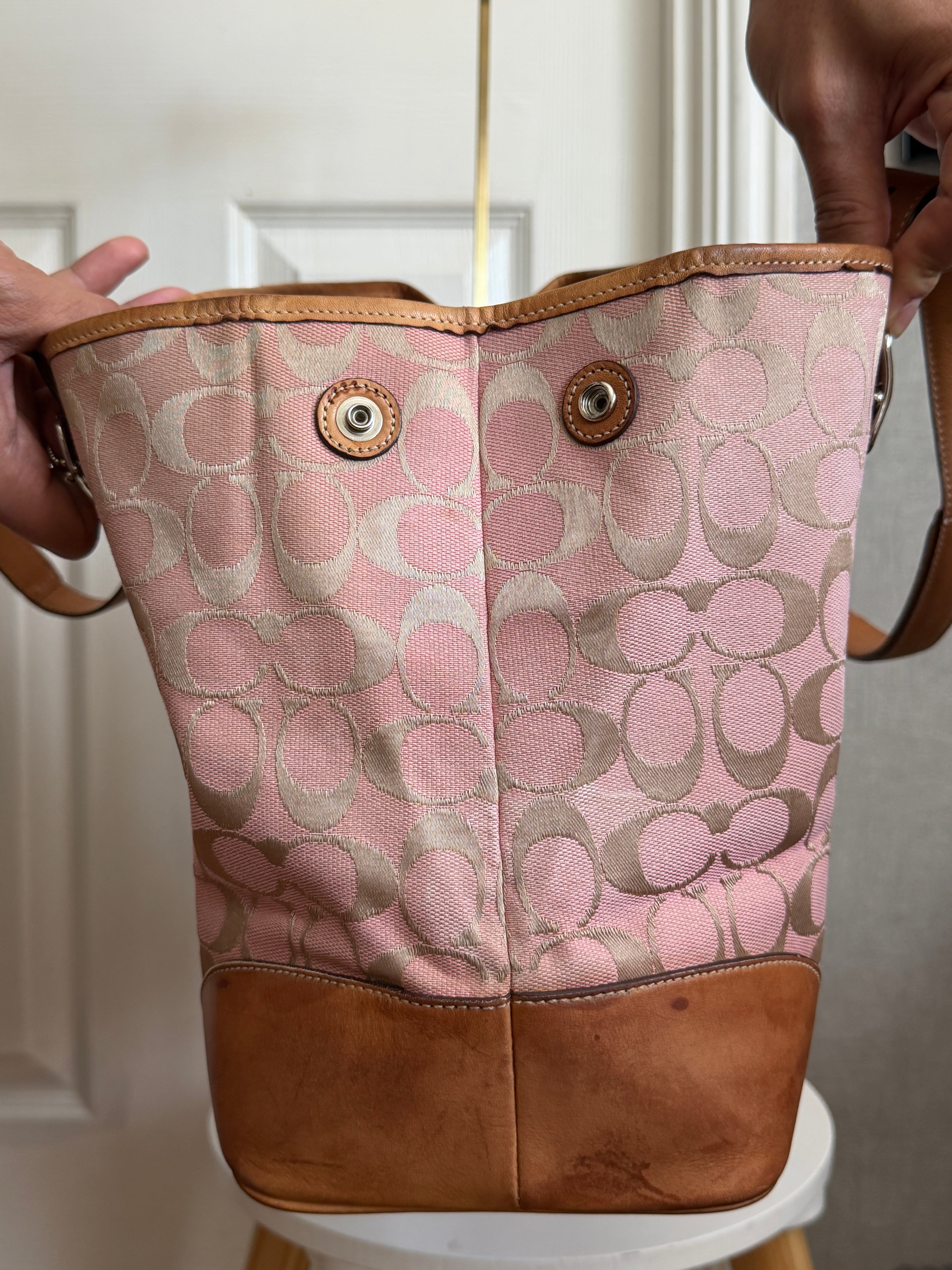 Coach signature canvas tote bag